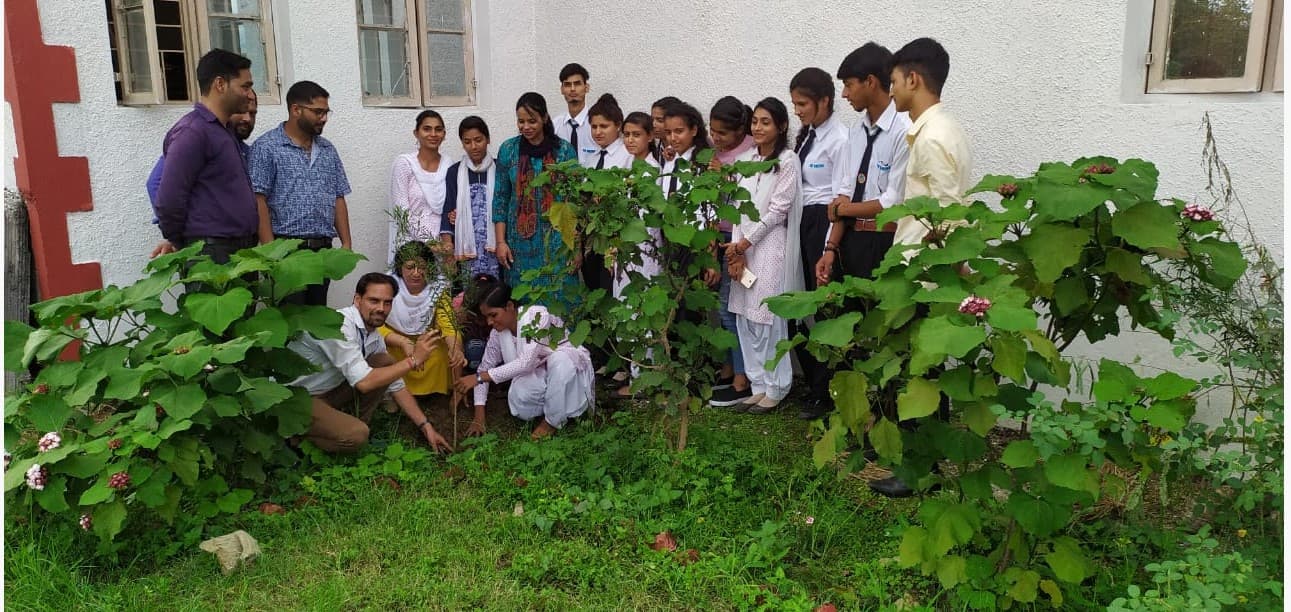 Nav Chetna College Dehradun Harela festival photo 1